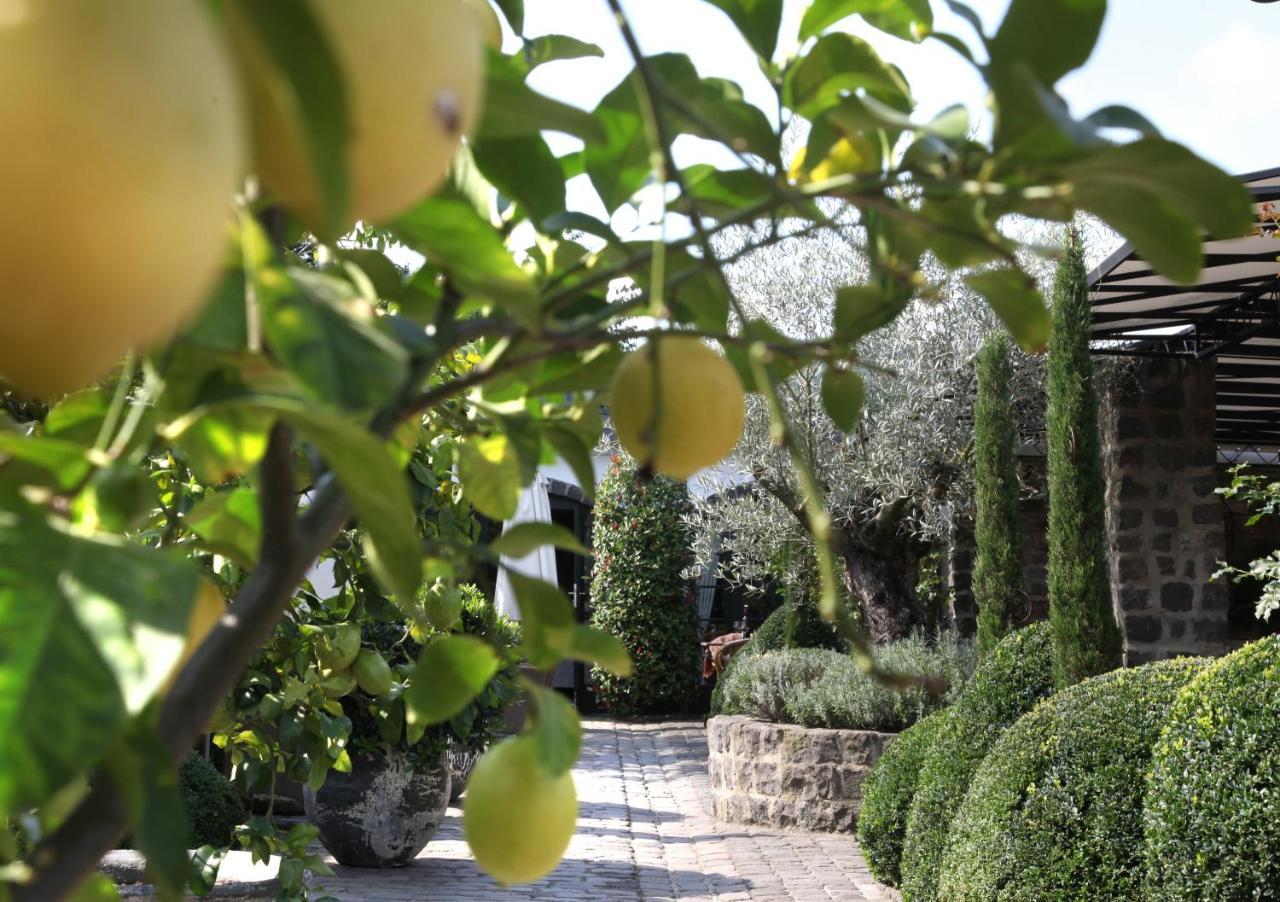 Wein Und Landhaus Kallfels Kröv Dış mekan fotoğraf